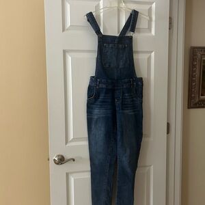 Wallflower Light and Dark Blue Denim Overalls